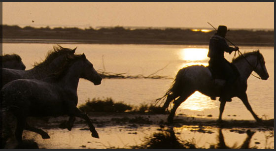 Ballade � cheval en Camargue