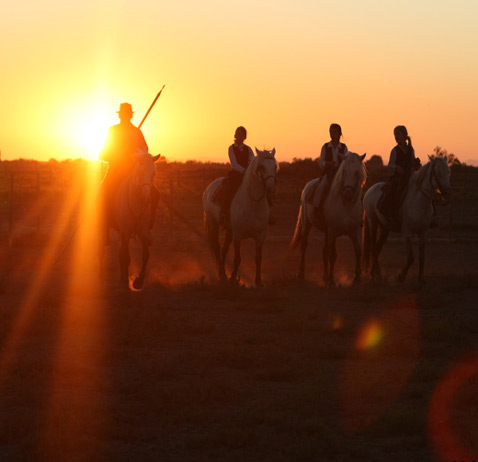 Ferrade en Camargue