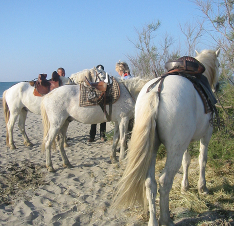 Production, tournage et photos en Camargue, avec chevaux et taureaux